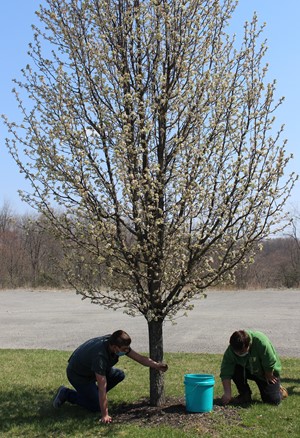 SL FFA Spring Cleaning