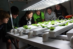 SLJHS Hydroponics